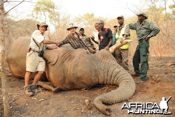 Tusker from Mozambique.