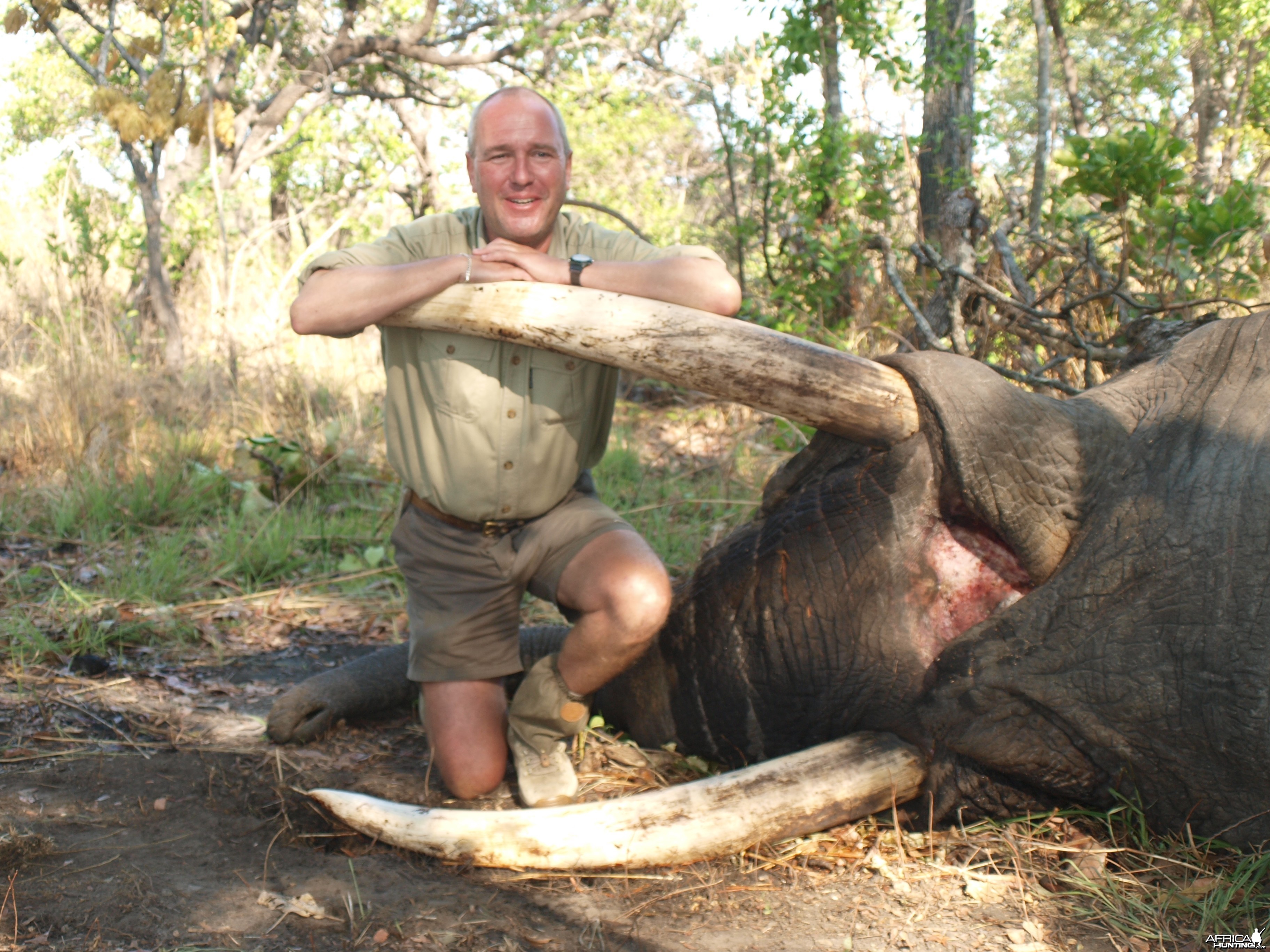 Old tusker and old PH