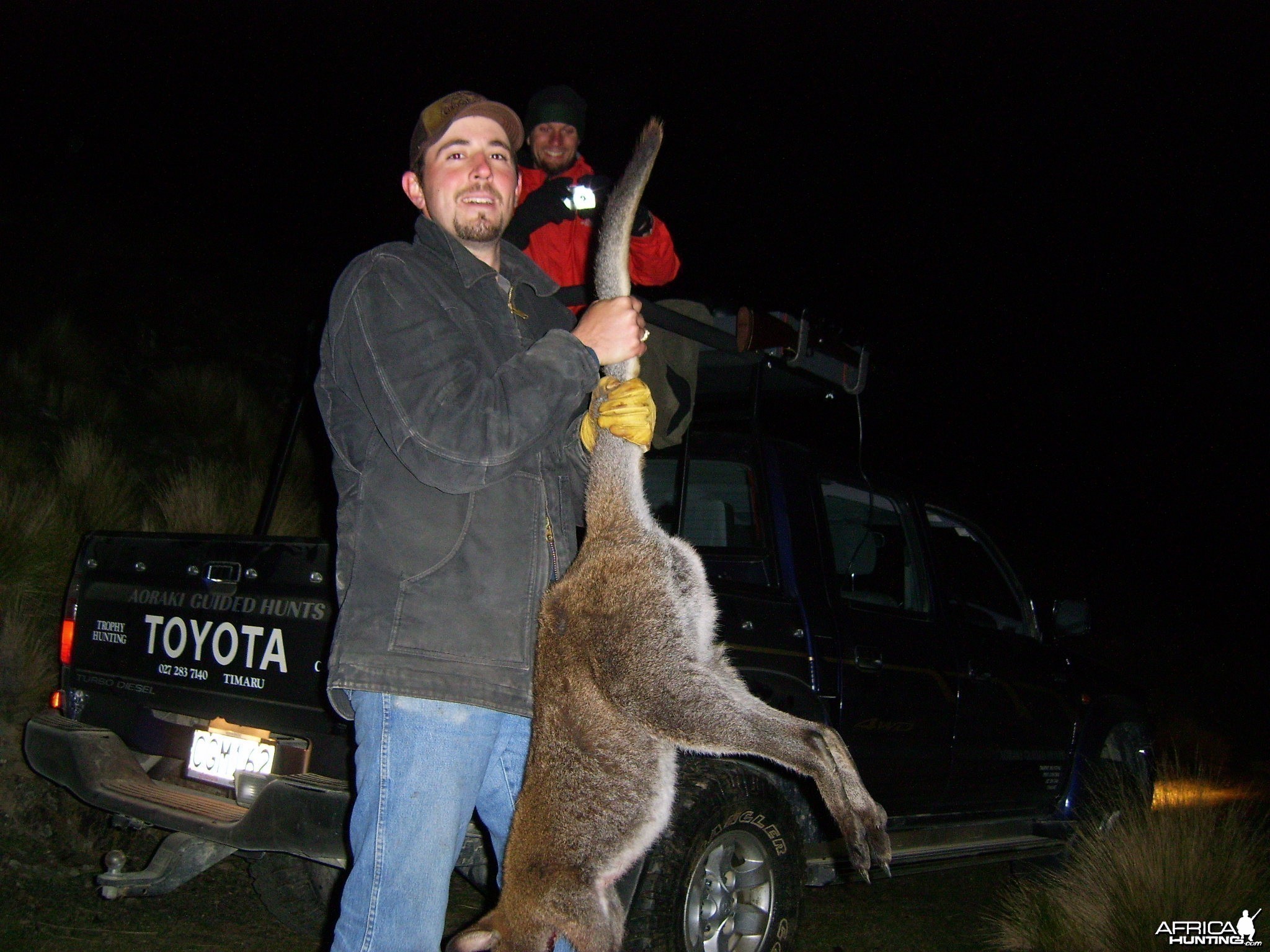 Wallaby