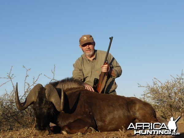 Black Wildebeest hunted with Ozondjahe Hunting Safaris in Namibia