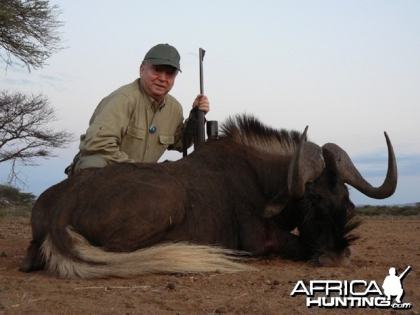 Black Wildebeest hunted with Ozondjahe Hunting Safaris in Namibia