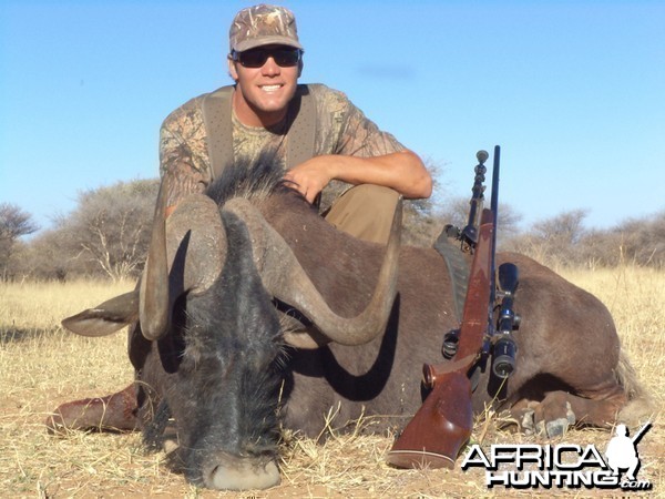 Black Wildebeest hunted with Ozondjahe Hunting Safaris in Namibia