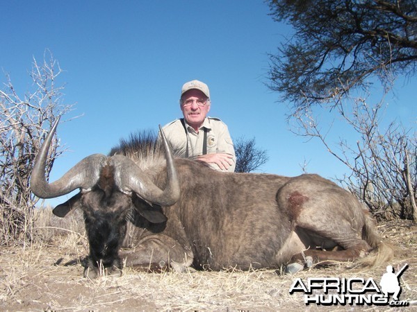 Black Wildebeest hunted with Ozondjahe Hunting Safaris in Namibia