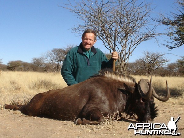 Black Wildebeest hunted with Ozondjahe Hunting Safaris in Namibia