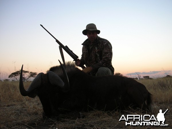 Black Wildebeest hunted with Ozondjahe Hunting Safaris in Namibia