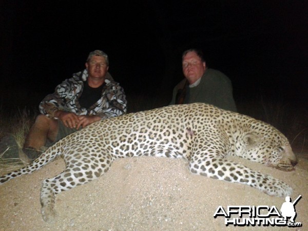 Leopard hunted with Westfalen Hunting Safaris in Namibia