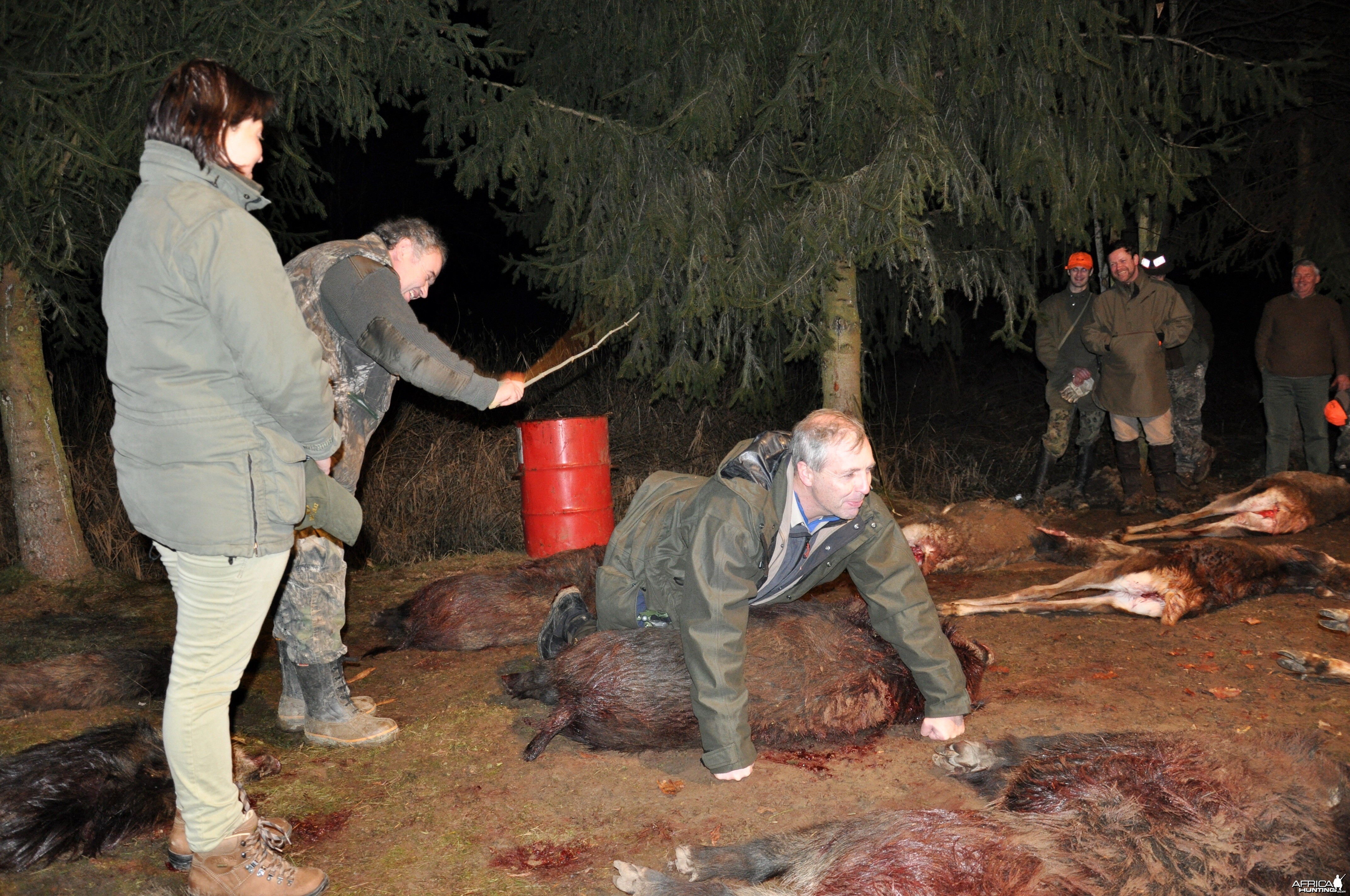 Driven boar hunt Hungary January 2015