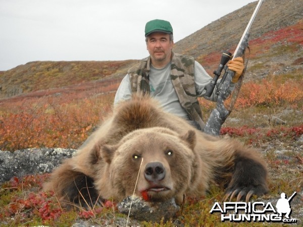 Alaskan Arctic Grizzly Hunt