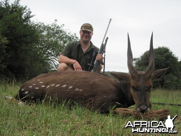 Bushbuck