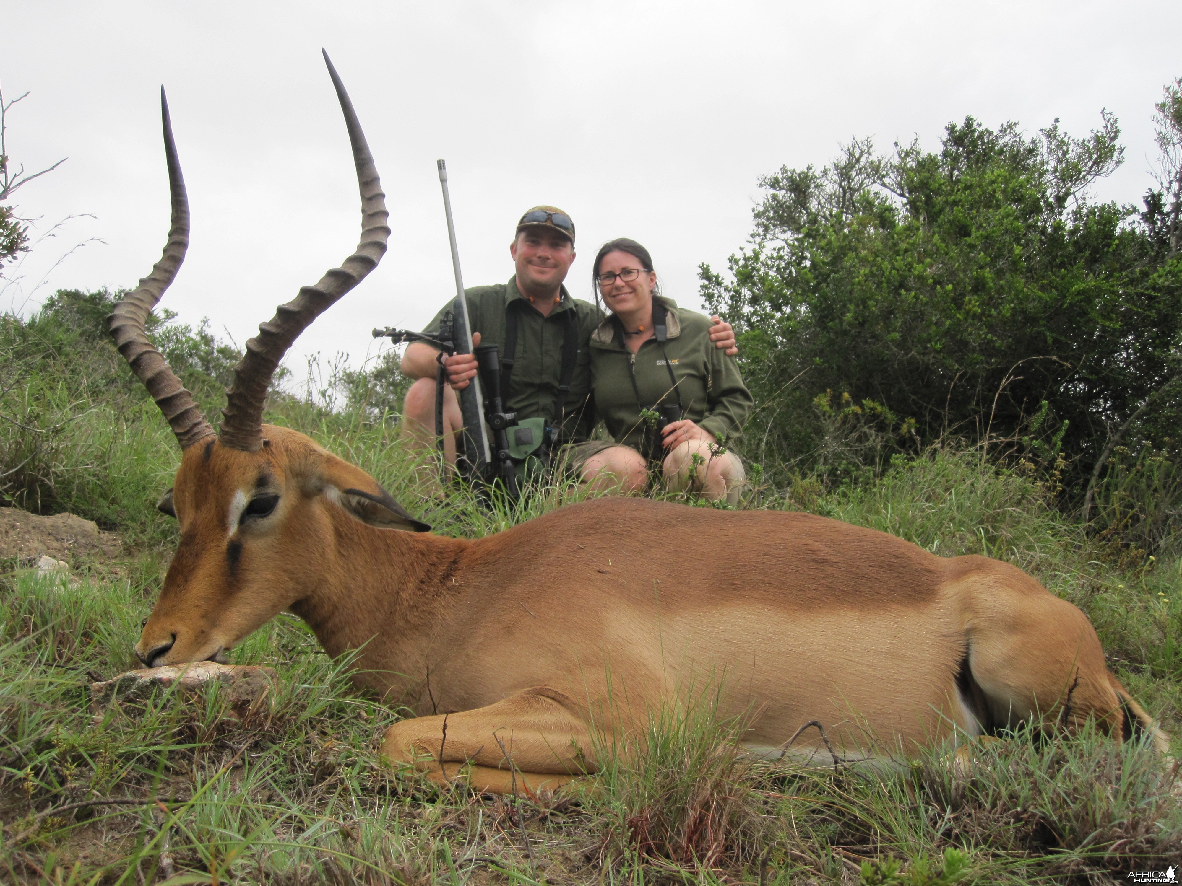 Impala