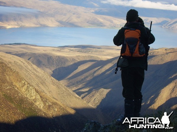 Chamois Hunting in New Zealand