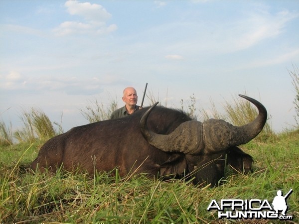 Hunting cape Buffalo Namibia