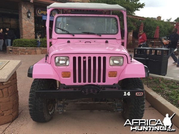 Pink Jeep