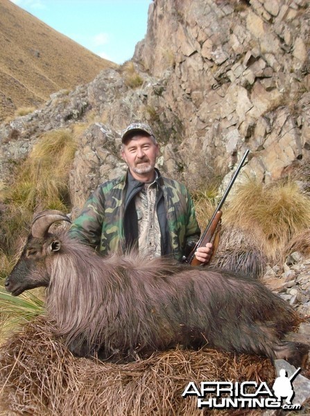 Tahr New Zealand  2015