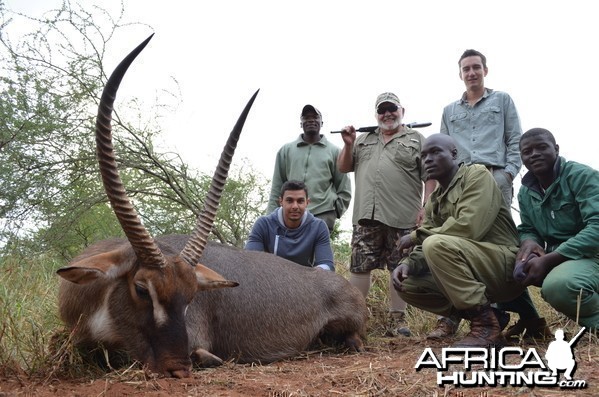 B V C ZIMBABWE WATERBUCK