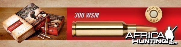 .300 Winchester Short Magnum