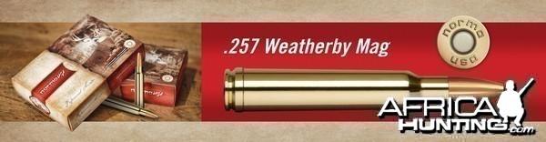 .257 Weatherby Mag