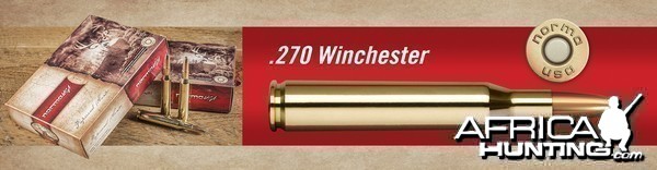 . 270 Winchester