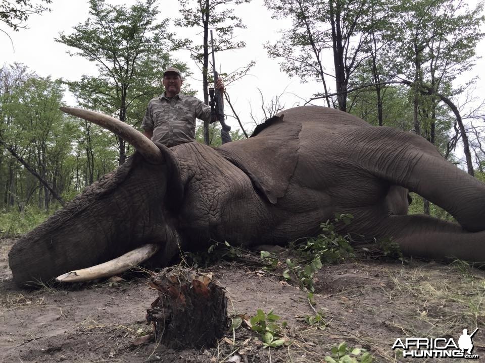 Jumbo Down - Africa 29 Complete
