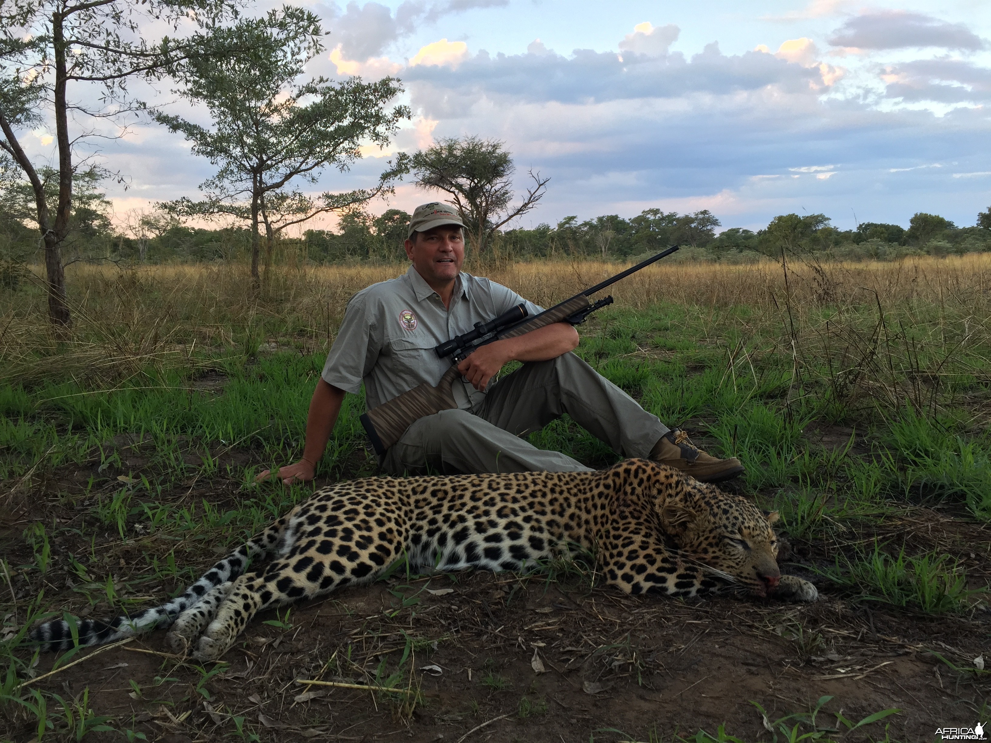 Leopard