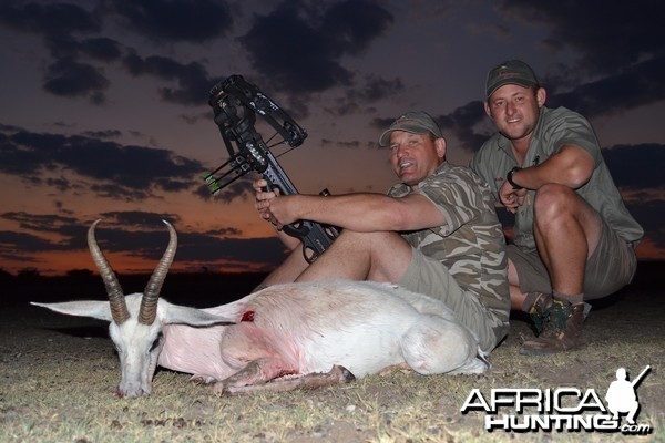 White Springbok - Crossbow