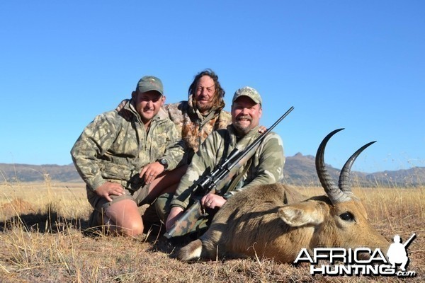 Common Reedbuck