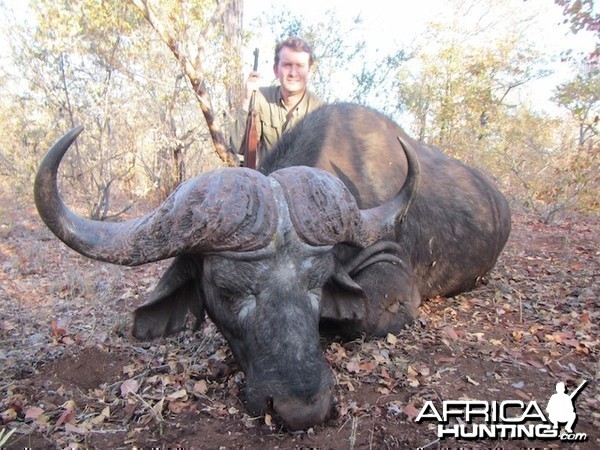 3 Clients 3 Buffalo hunted in June