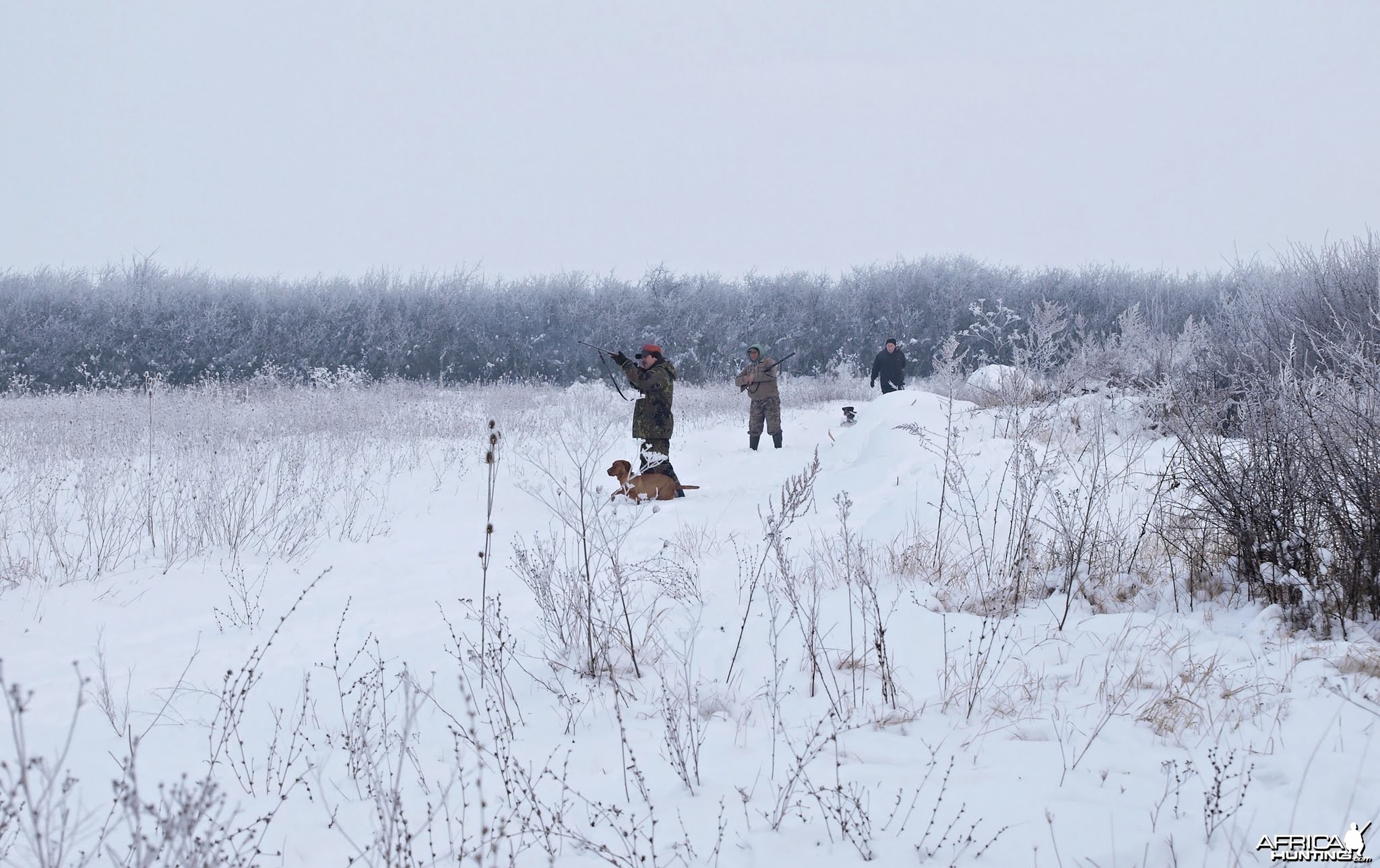 Hunting Romania