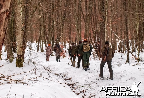 Hunting Romania