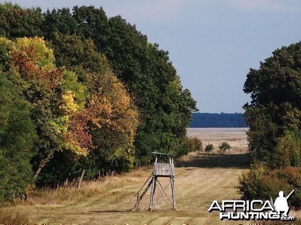 Hunting in Romania