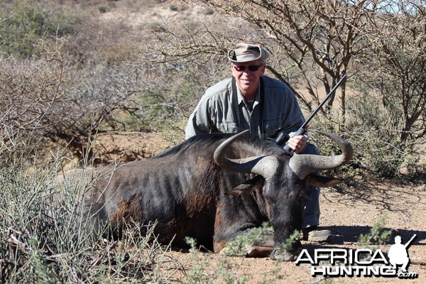 Blue Wildebeest