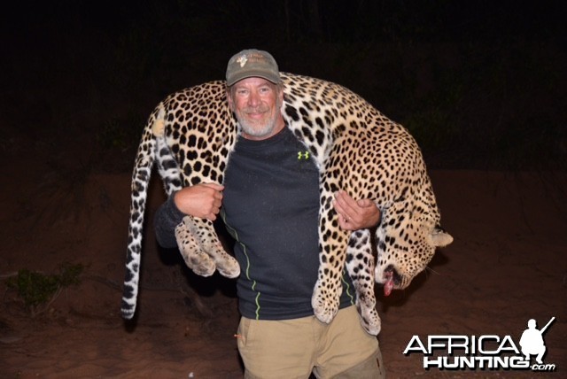 Zimbabwe Leopard