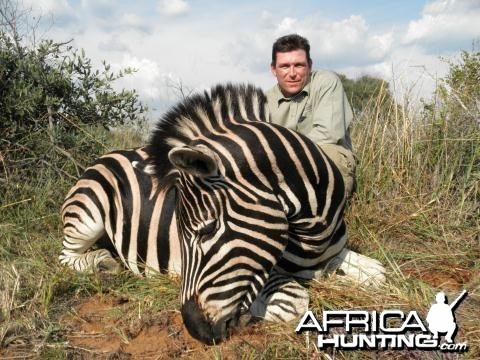 Zebra Limpopo 2011