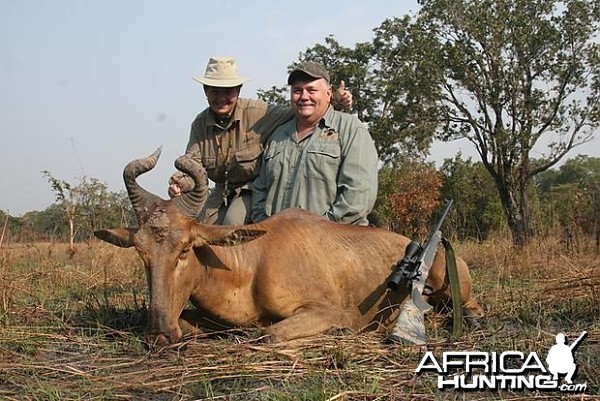 Lichtenstein's Hartebeest hunting in Tanzania