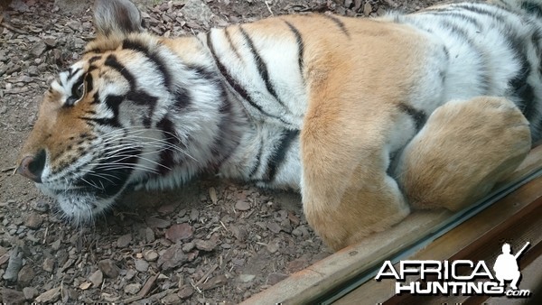 French Zoo St Martin la Plaine. .