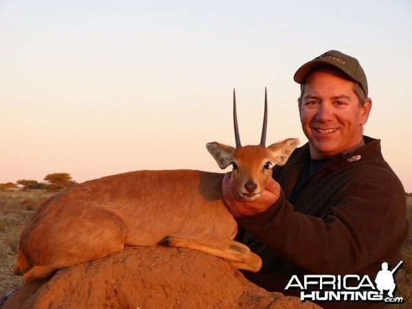 African Steenbuck