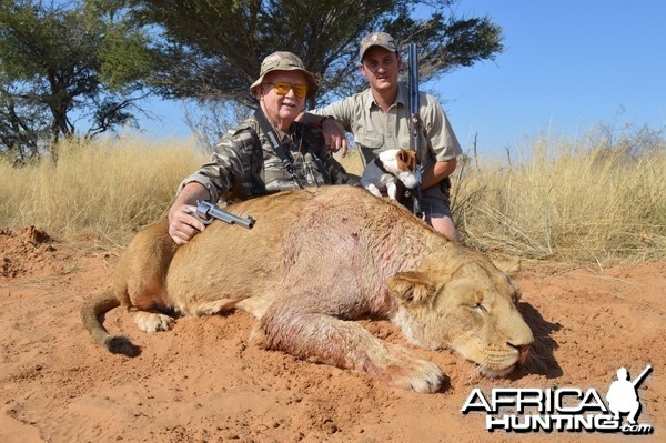 Lioness South-Africa