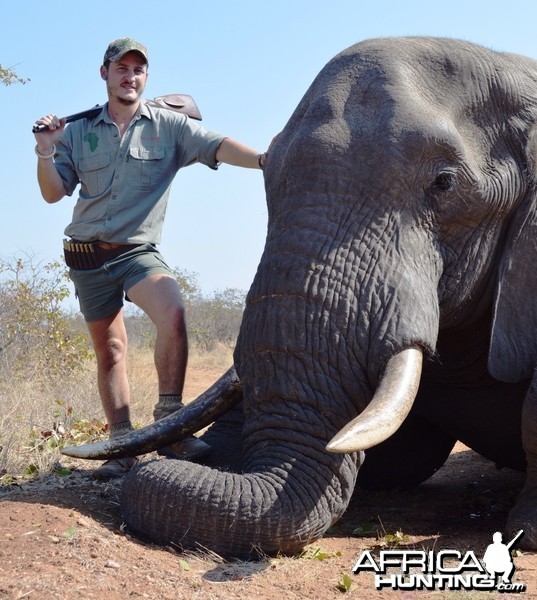 Elephant hunting South-Africa