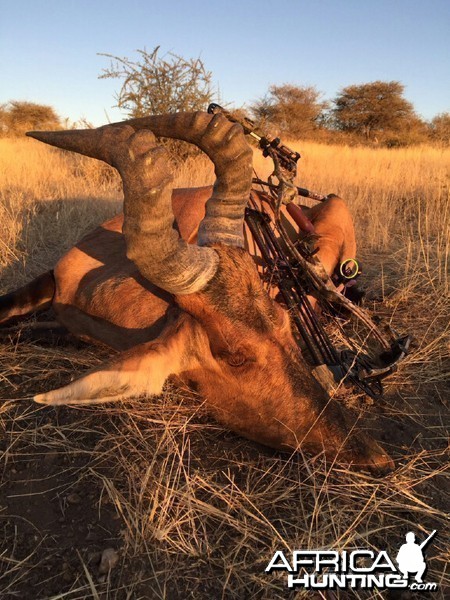 Namibia bow hunting