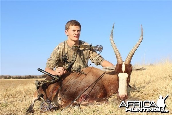 Namibia Blesbuck with bow