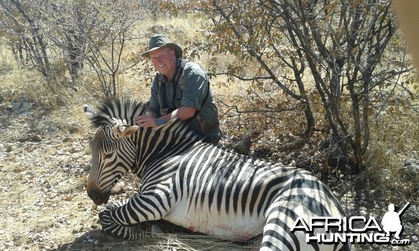 Hartmann's Mountain Zebra