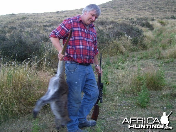 Wallaby hunting - New Zealand