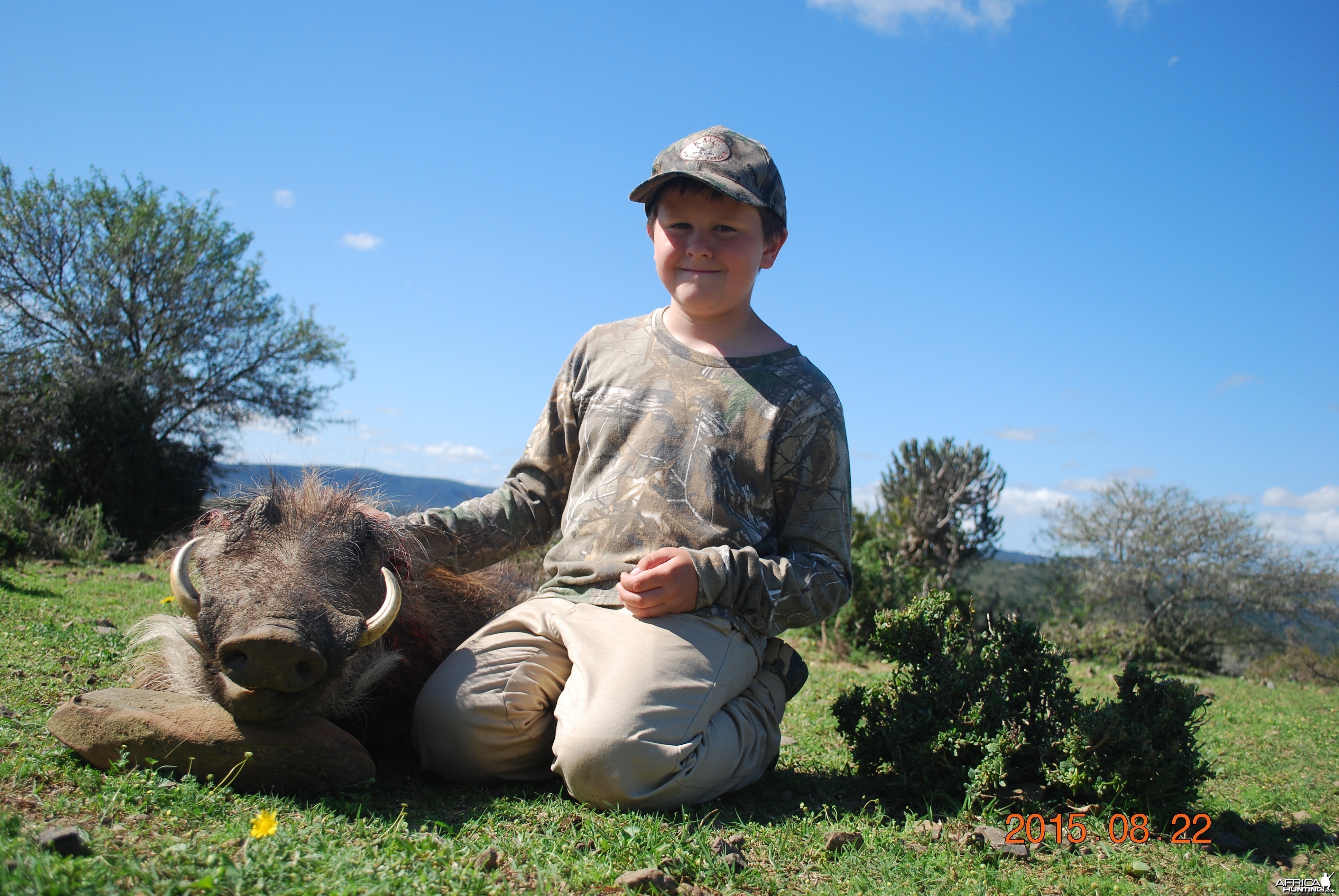 Warthog