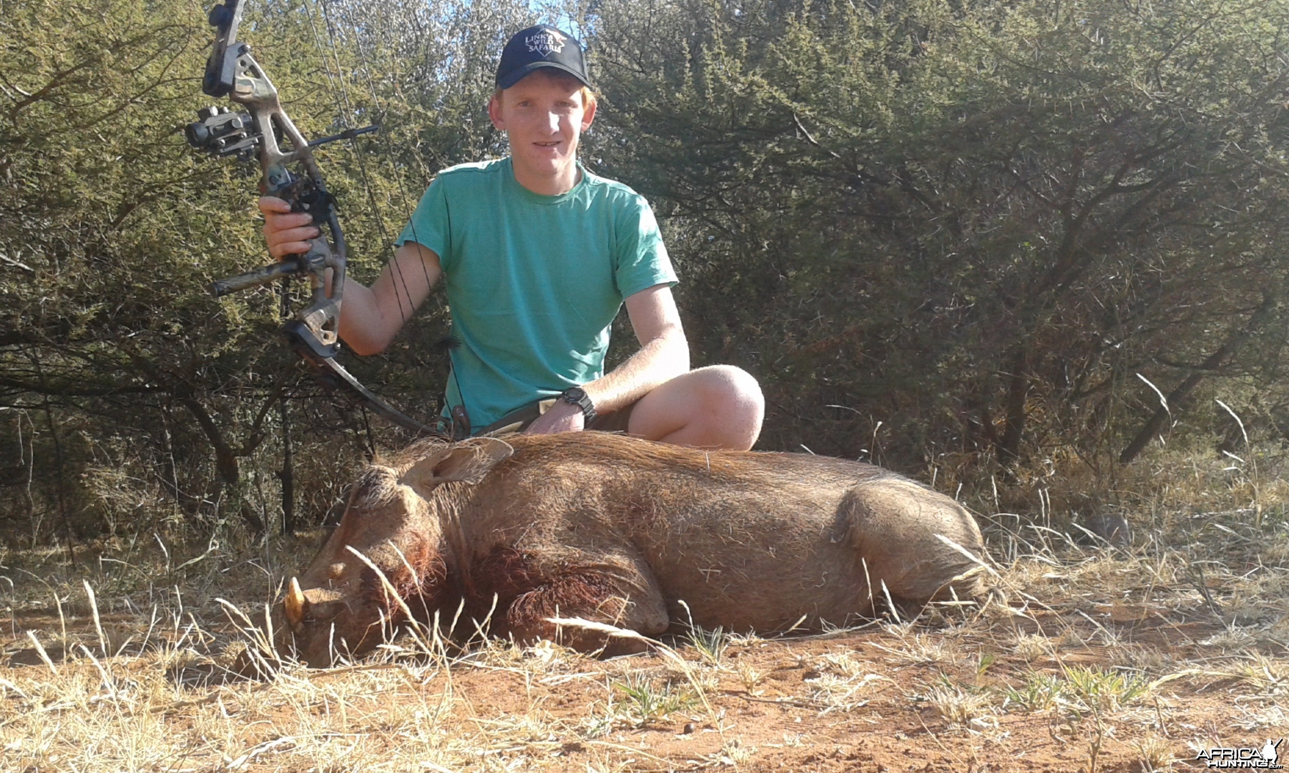 warthog