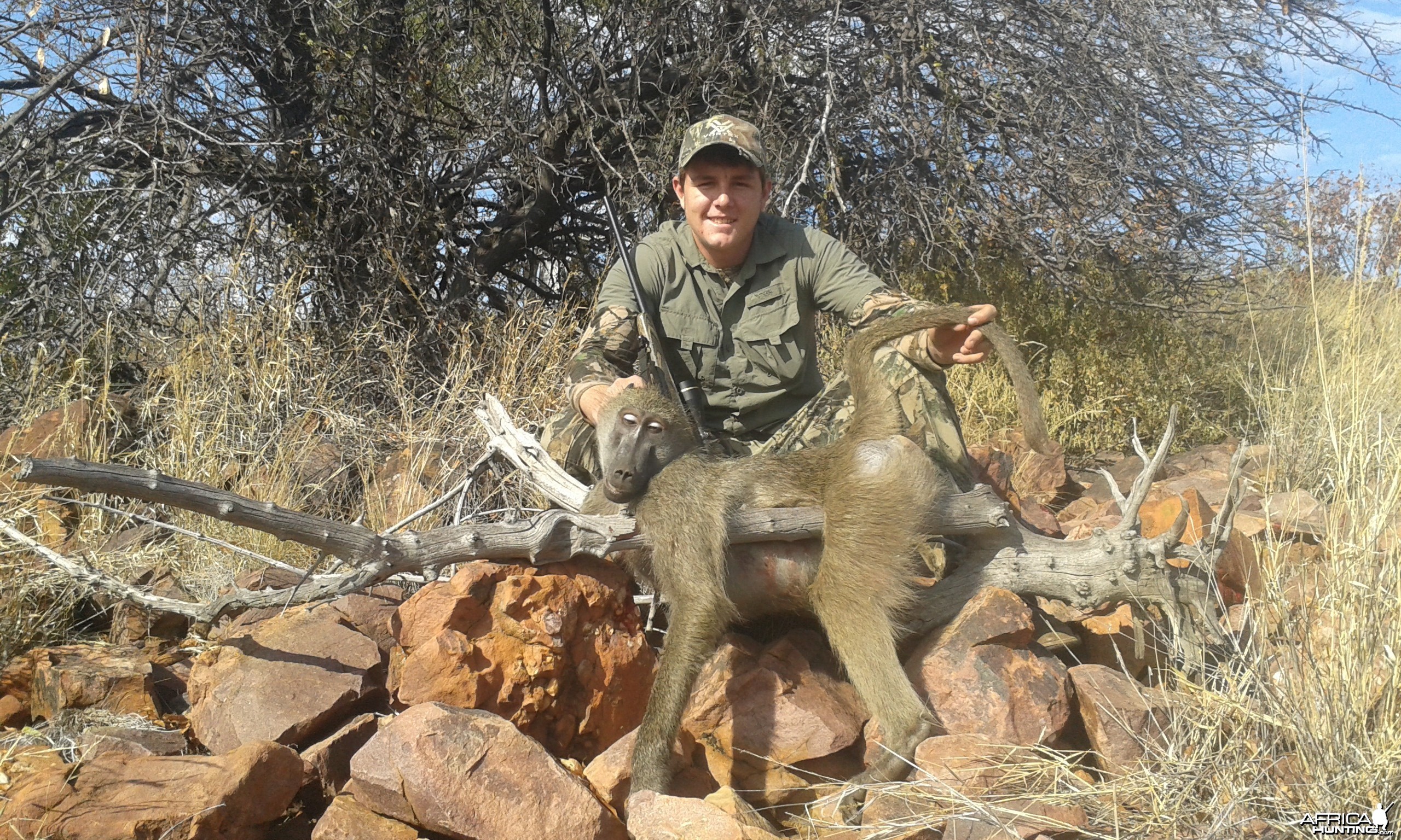 baboon