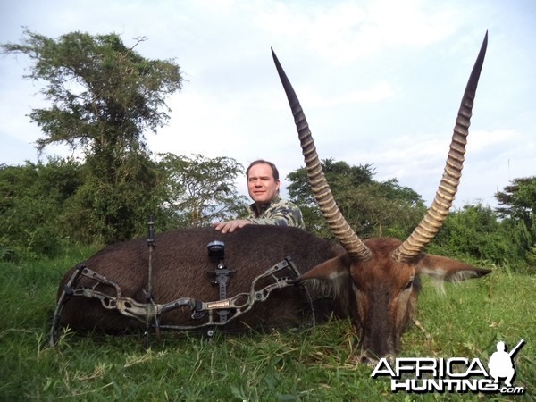 East African Defassa Waterbuck