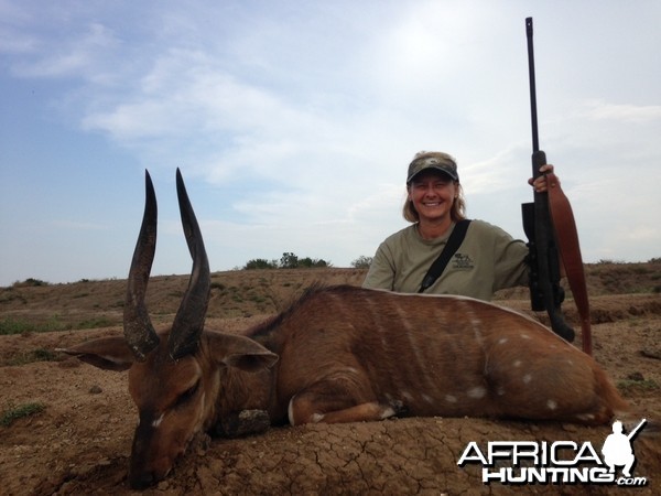 Nile Bushbuck