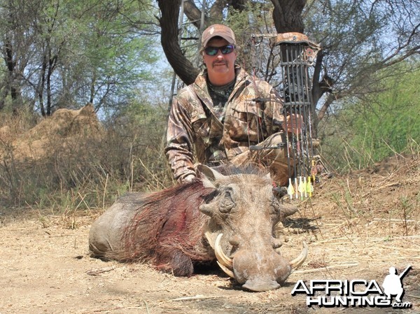 Limpopo River warthog Limcroma Safaris 2015