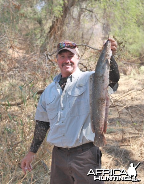 Marico River Catfish Limcroma Safaris