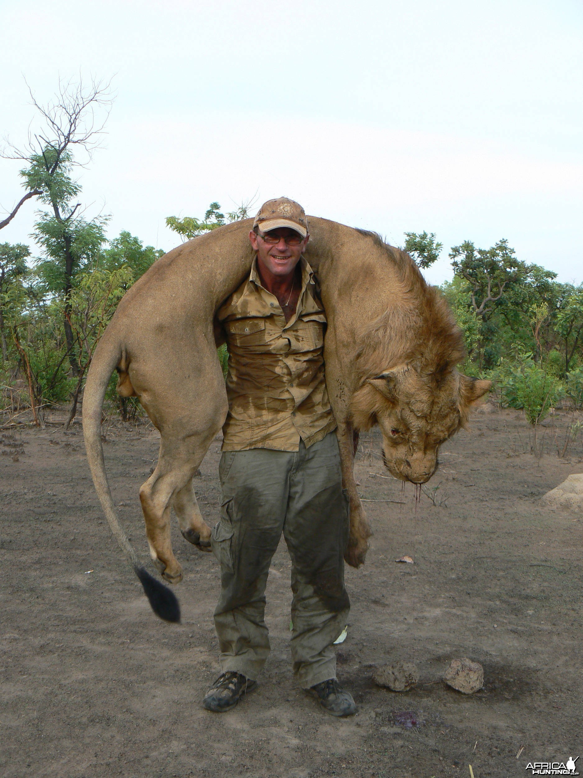 Lion hunting in Central Africa